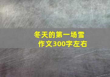 冬天的第一场雪作文300字左右