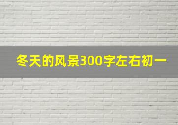 冬天的风景300字左右初一