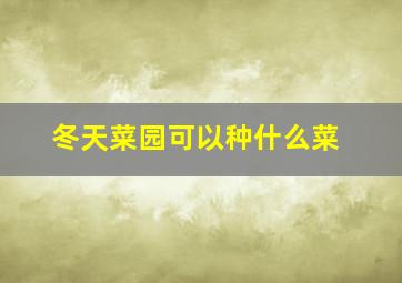 冬天菜园可以种什么菜