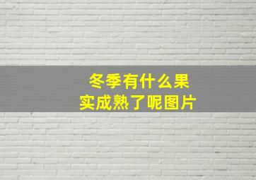 冬季有什么果实成熟了呢图片