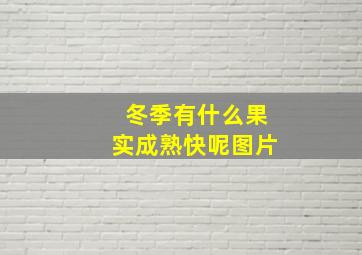 冬季有什么果实成熟快呢图片