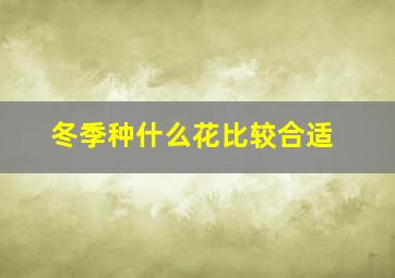 冬季种什么花比较合适