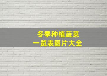 冬季种植蔬菜一览表图片大全