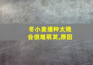 冬小麦播种太晚会很难萌发,原因