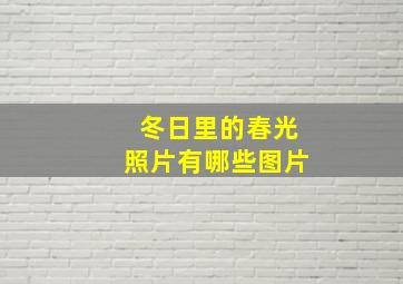 冬日里的春光照片有哪些图片