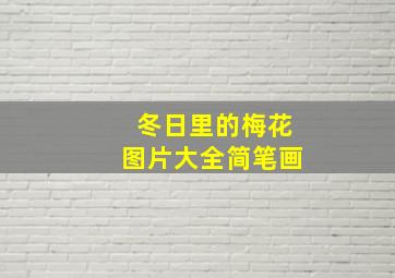 冬日里的梅花图片大全简笔画