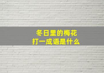 冬日里的梅花打一成语是什么