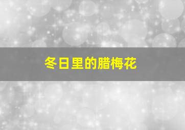 冬日里的腊梅花