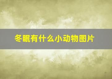 冬眠有什么小动物图片