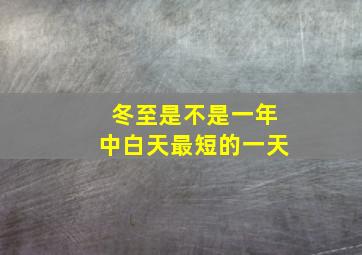 冬至是不是一年中白天最短的一天