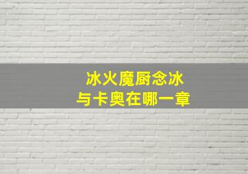 冰火魔厨念冰与卡奥在哪一章