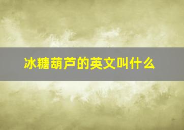 冰糖葫芦的英文叫什么