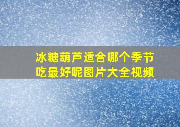 冰糖葫芦适合哪个季节吃最好呢图片大全视频