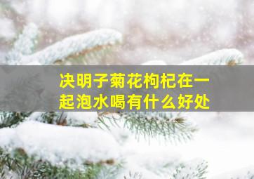 决明子菊花枸杞在一起泡水喝有什么好处