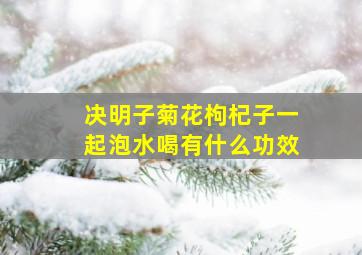 决明子菊花枸杞子一起泡水喝有什么功效