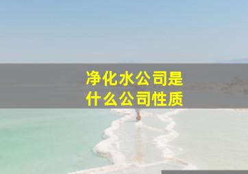 净化水公司是什么公司性质