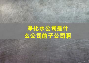 净化水公司是什么公司的子公司啊