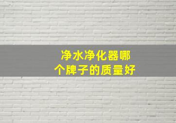 净水净化器哪个牌子的质量好