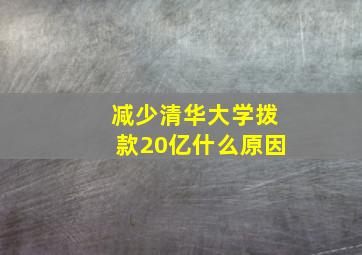 减少清华大学拨款20亿什么原因