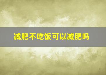 减肥不吃饭可以减肥吗