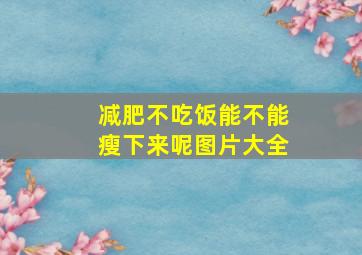 减肥不吃饭能不能瘦下来呢图片大全