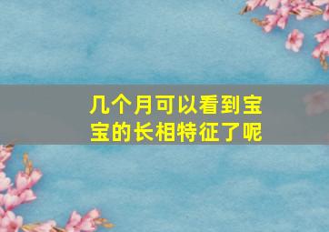 几个月可以看到宝宝的长相特征了呢