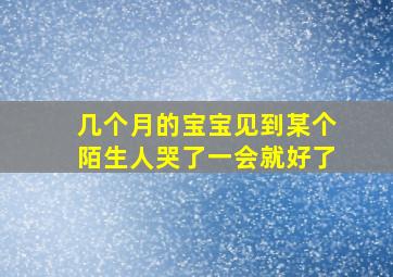 几个月的宝宝见到某个陌生人哭了一会就好了