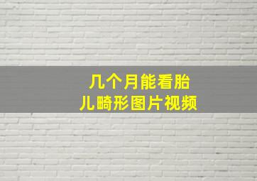 几个月能看胎儿畸形图片视频