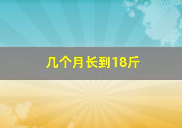 几个月长到18斤