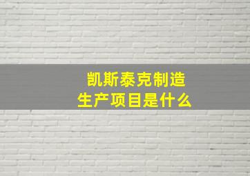 凯斯泰克制造生产项目是什么