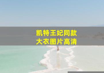 凯特王妃同款大衣图片高清