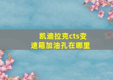 凯迪拉克cts变速箱加油孔在哪里