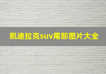 凯迪拉克suv尾部图片大全