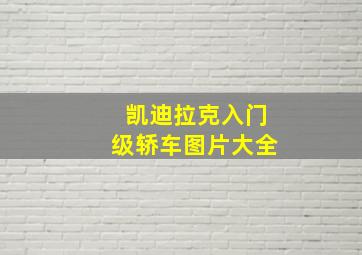 凯迪拉克入门级轿车图片大全