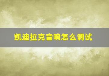 凯迪拉克音响怎么调试