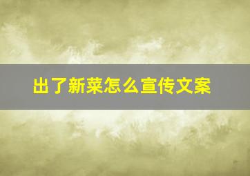 出了新菜怎么宣传文案