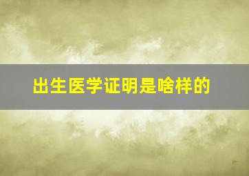 出生医学证明是啥样的