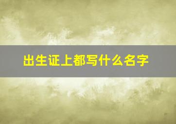 出生证上都写什么名字