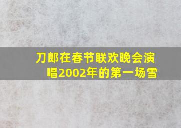 刀郎在春节联欢晚会演唱2002年的第一场雪