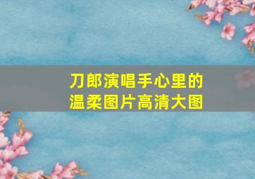 刀郎演唱手心里的温柔图片高清大图