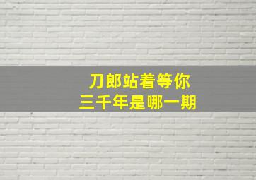 刀郎站着等你三千年是哪一期