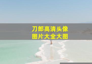 刀郎高清头像图片大全大图