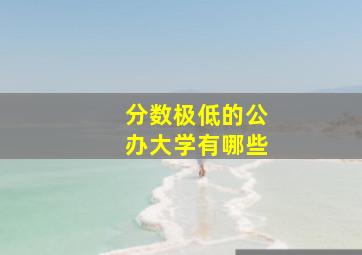 分数极低的公办大学有哪些