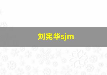 刘宪华sjm