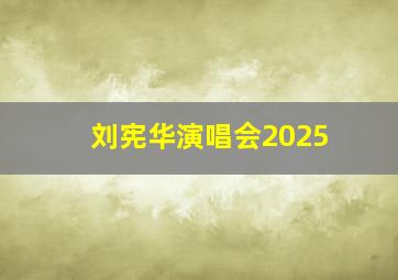 刘宪华演唱会2025