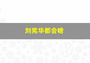 刘宪华都会啥