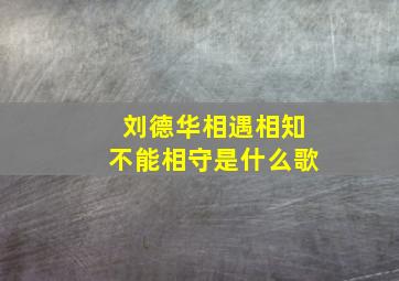 刘德华相遇相知不能相守是什么歌