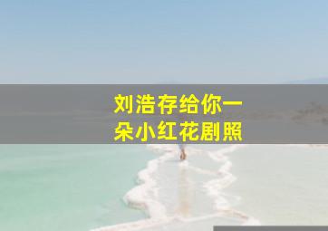 刘浩存给你一朵小红花剧照