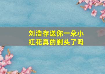 刘浩存送你一朵小红花真的剃头了吗