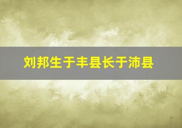 刘邦生于丰县长于沛县